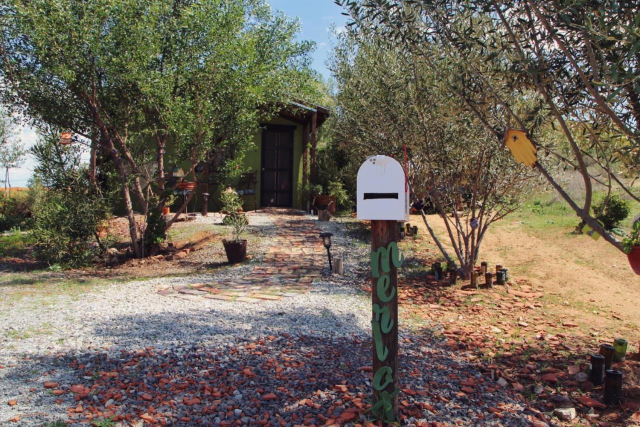 Posada San Antonio Valle de Guadalupe Exteriör bild